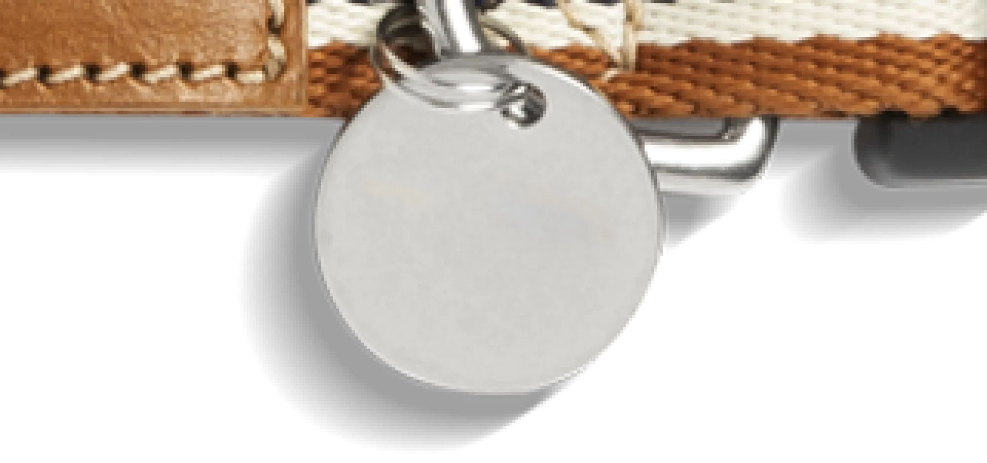 Shinola Shop All|Shop All Home|Nylon Dog Collar