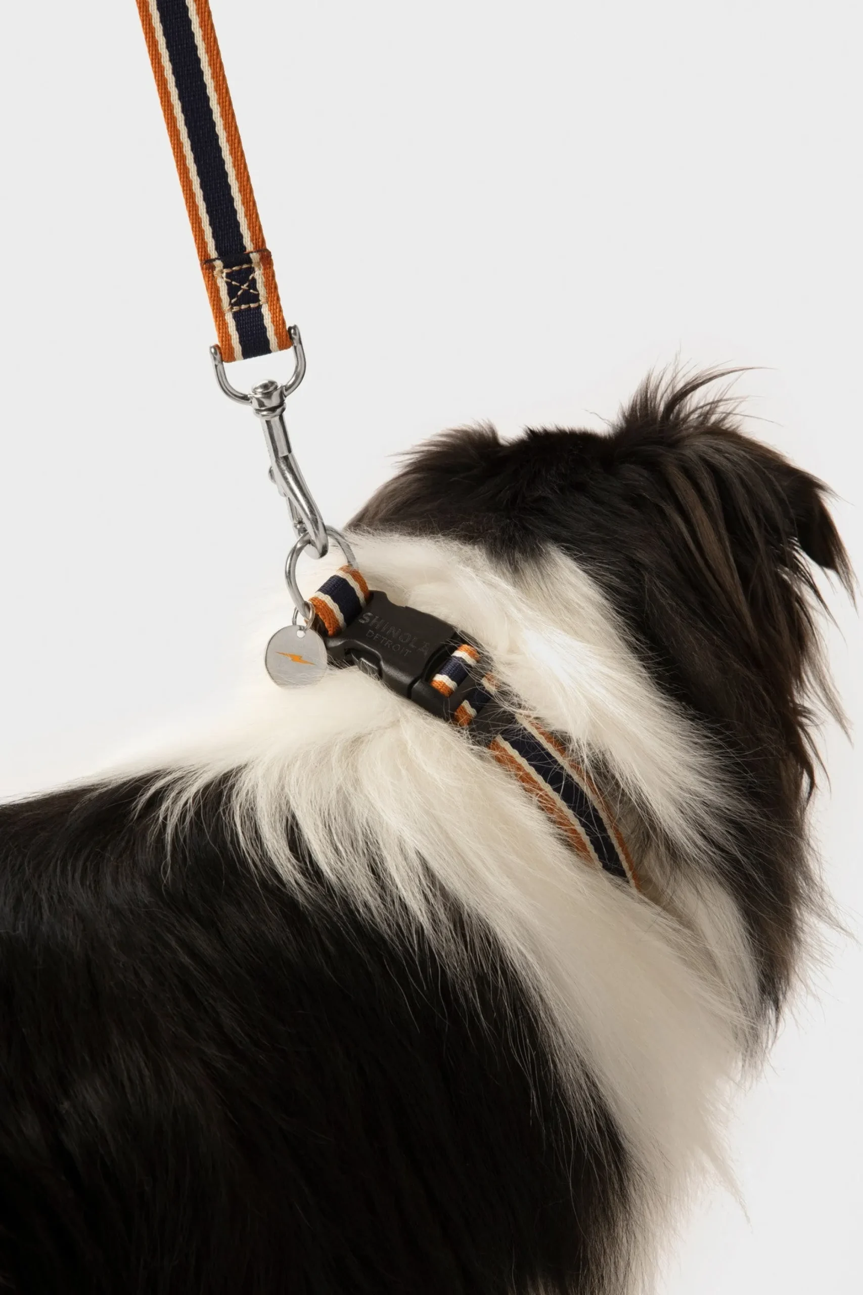 Shinola Shop All|Shop All Home|Nylon Dog Leash